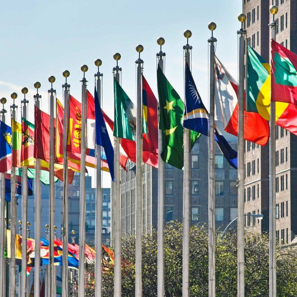 United Nations Flags in New York