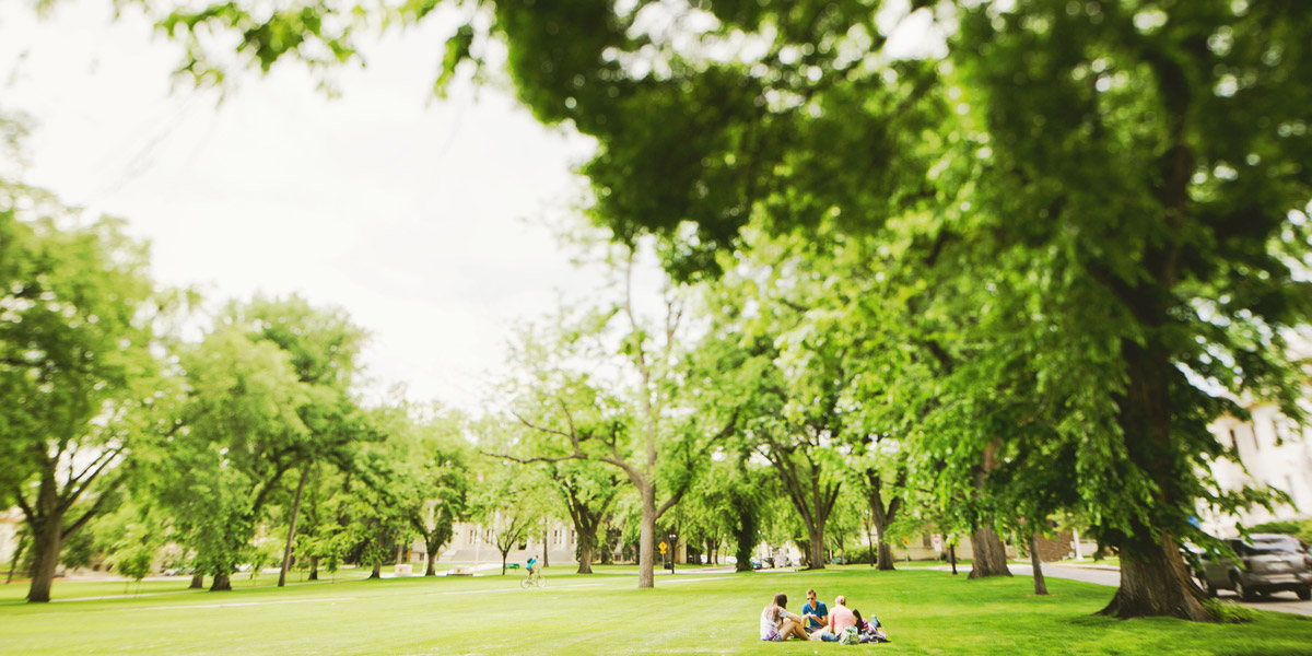 Colorado State University