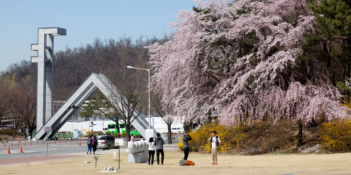 Seoul National University - Study Abroad